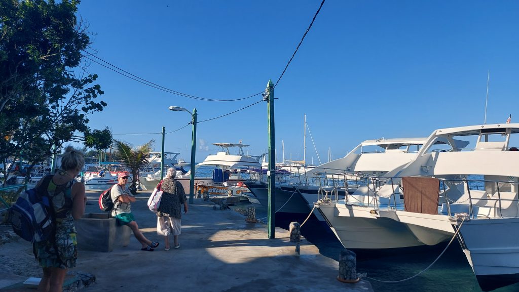 Isla Catalina Katamaran Anreise