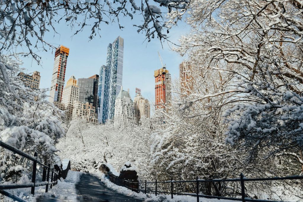 Tall majestic skyscrapers near bridge surrounded by leafless trees covered with snow against cloudless sky in daytime