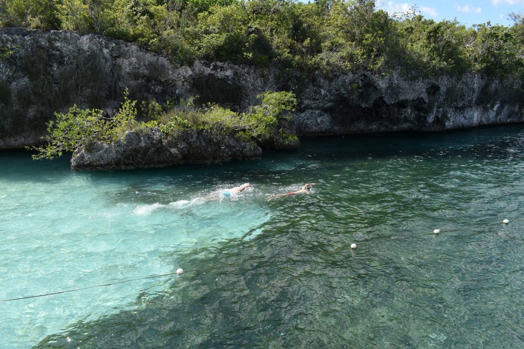 Isla Catalina – Tauchen