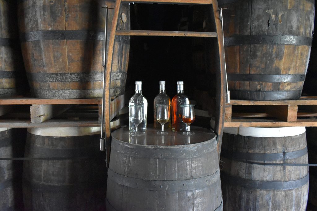 Barceló Rumfabrik in der Dominikanischen Republik