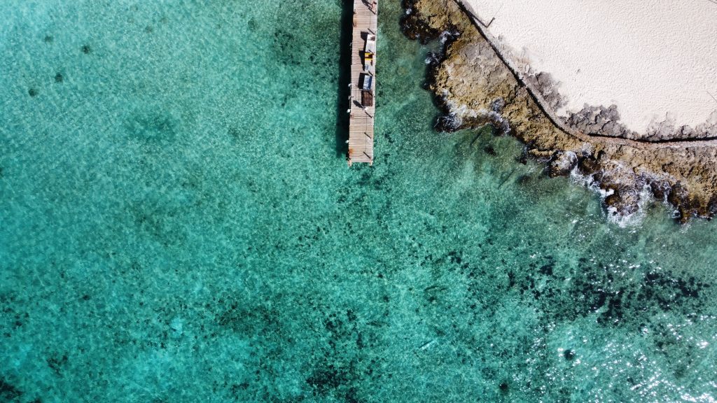 Tauchen in Bayahibe – Versunkene Schätze & Korallenparadiese