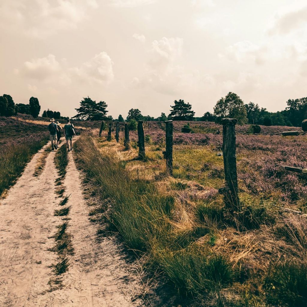 Hikers on a rustic trail through a scenic natural landscape in Germany, featuring vibrant fields and distant trees.