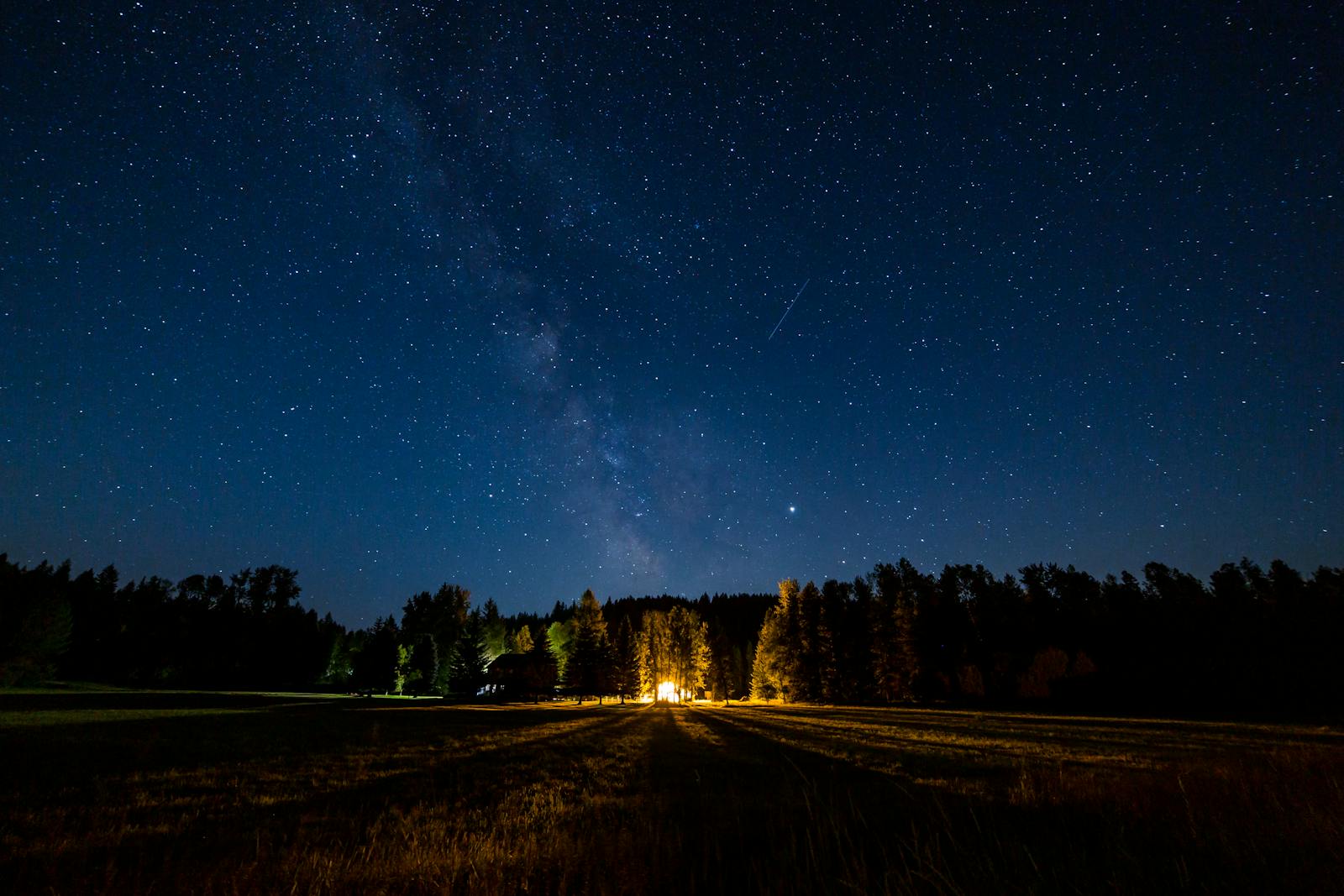 Peaceful starry night sky over a forest with a glowing campfire, highlighting the Milky Way.