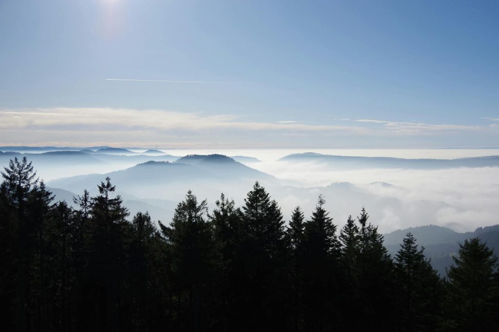 Breathtaking view of Black Forest mountains enveloped in mist under a clear sky.
