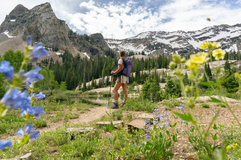 A woman hikes amidst wildflowers and mountains in Cottonwood Heights, Utah.