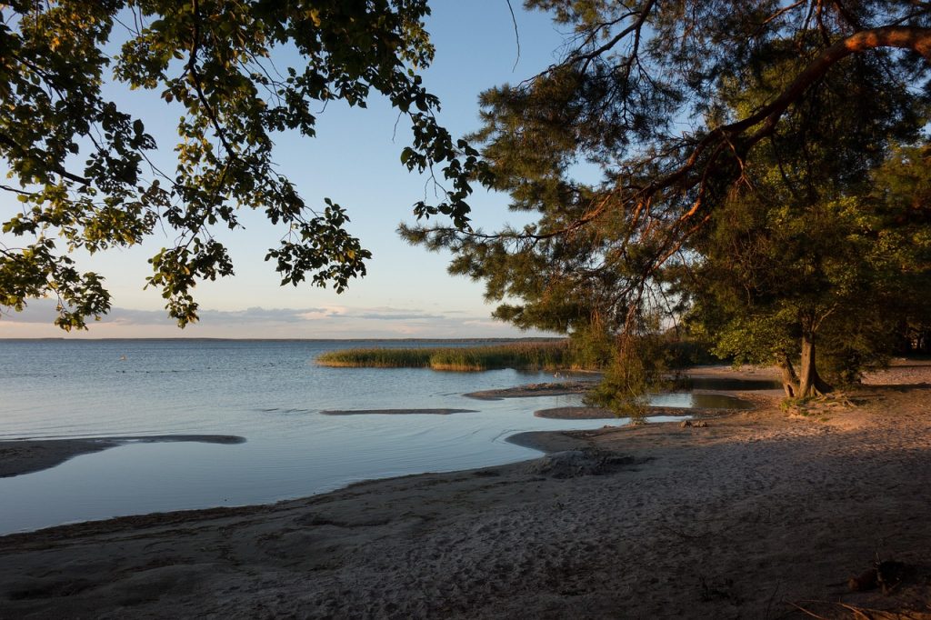 lakeside, evening light, nature, müritz, riverbank, landscape, trees, beach, park, lake, sea, morning
