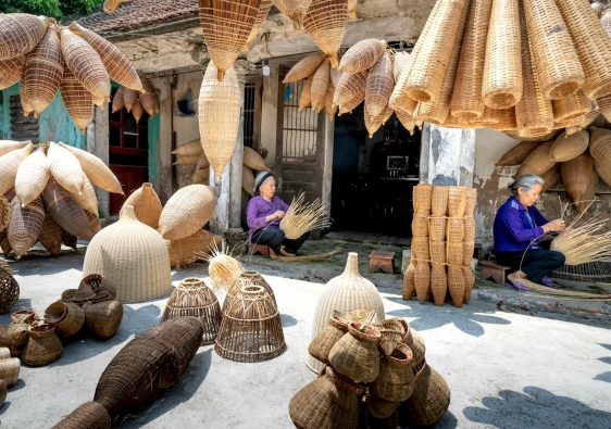 Elderly Vietnamese women creating bamboo baskets in a rustic rural setting.