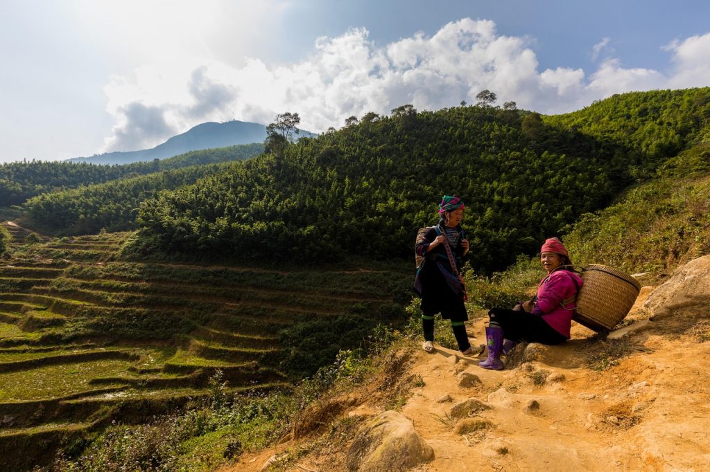 rice terraces, women, rice fields, agriculture, farming, rice, terrace fields, mountains, hills, rural, countryside, traditional, village women, nature, landscape, sapa, north vietnam, vietnam, asia, village women, sapa, sapa, sapa, sapa, sapa, vietnam