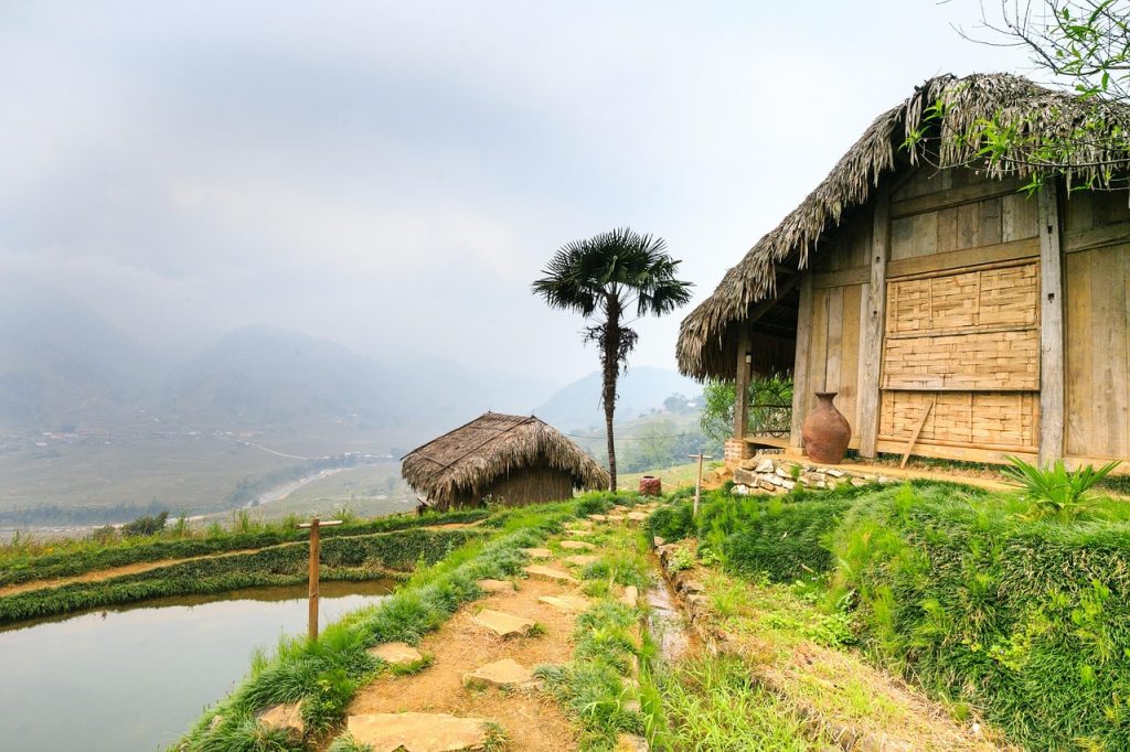 country, see, asia, rice, vietnam, sapa, village, nature, green, food, yellow, plant, travel, view, out side, environment, fields, tropical, agriculture, countryside, mountain, gardening, crop, farm, rough, eco, landscape, soil, hill, development, harvest, ground, farming, valley, agricultural land, production, vietnam, sapa, sapa, sapa, sapa, sapa, ground