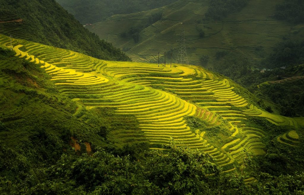 nature, terraces, outdoors, travel, exploration, sapa, rice field, mountain, sapa, sapa, sapa, sapa, sapa, rice field, rice field, rice field