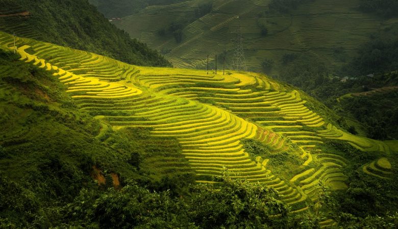 nature, terraces, outdoors, travel, exploration, sapa, rice field, mountain, sapa, sapa, sapa, sapa, sapa, rice field, rice field, rice field