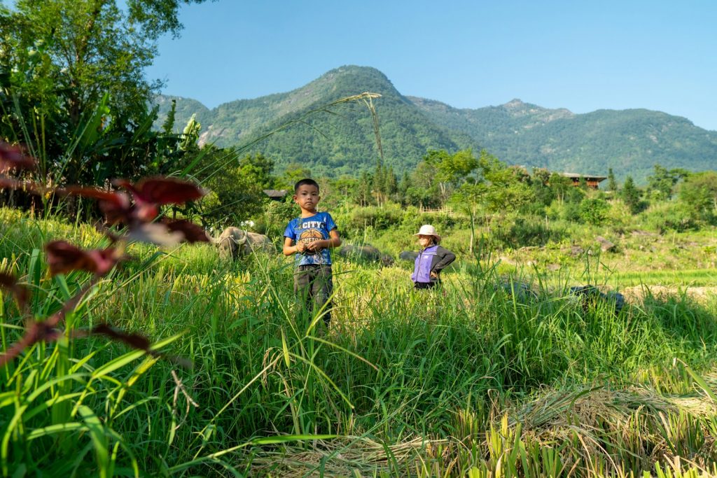 a couple of kids that are standing in the grass