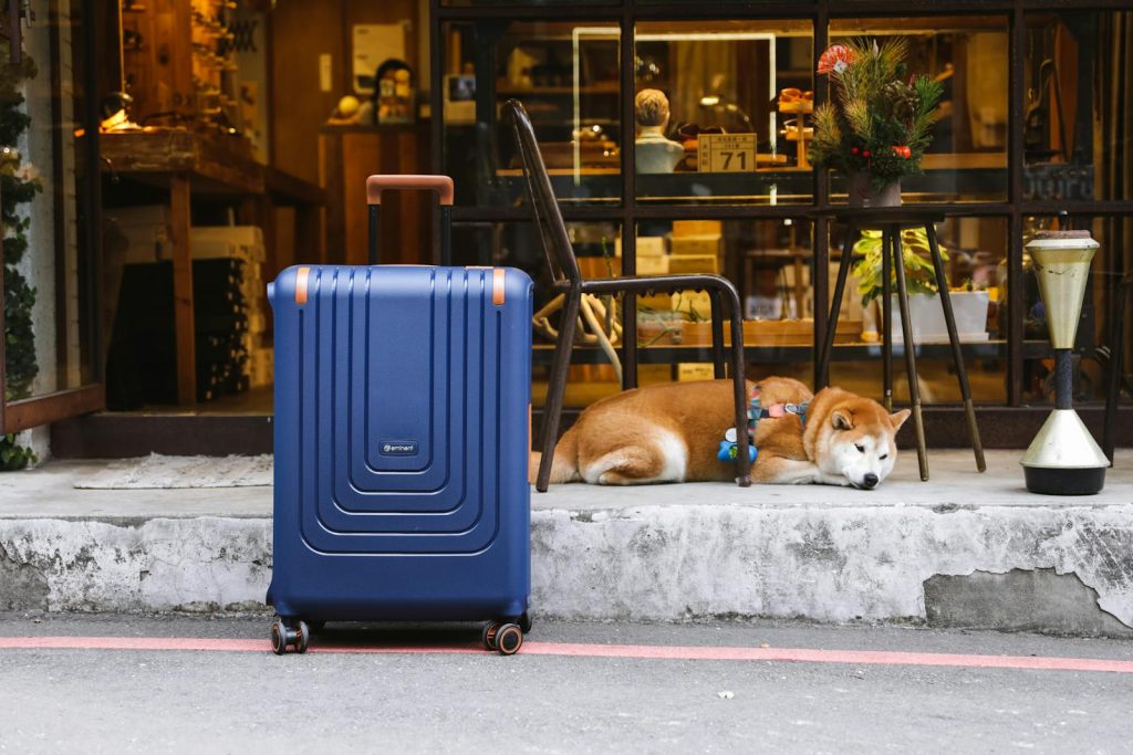 A Shiba Inu resting on a city street beside a blue suitcase and a cozy café.