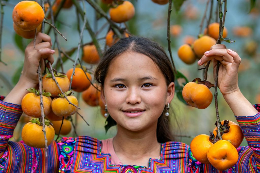 Portrait of a young girl in traditional attire holding persimmons in Vietnam. Vibrant and lively.