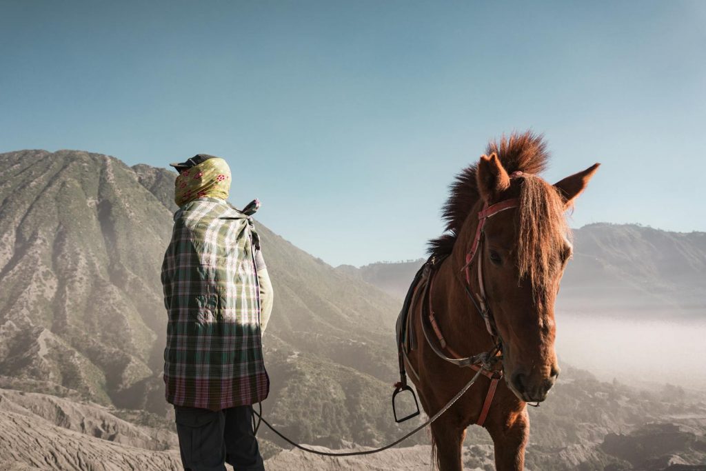 A person with a horse in the misty landscape of Bromo Tengger Semeru National Park, East Java.
